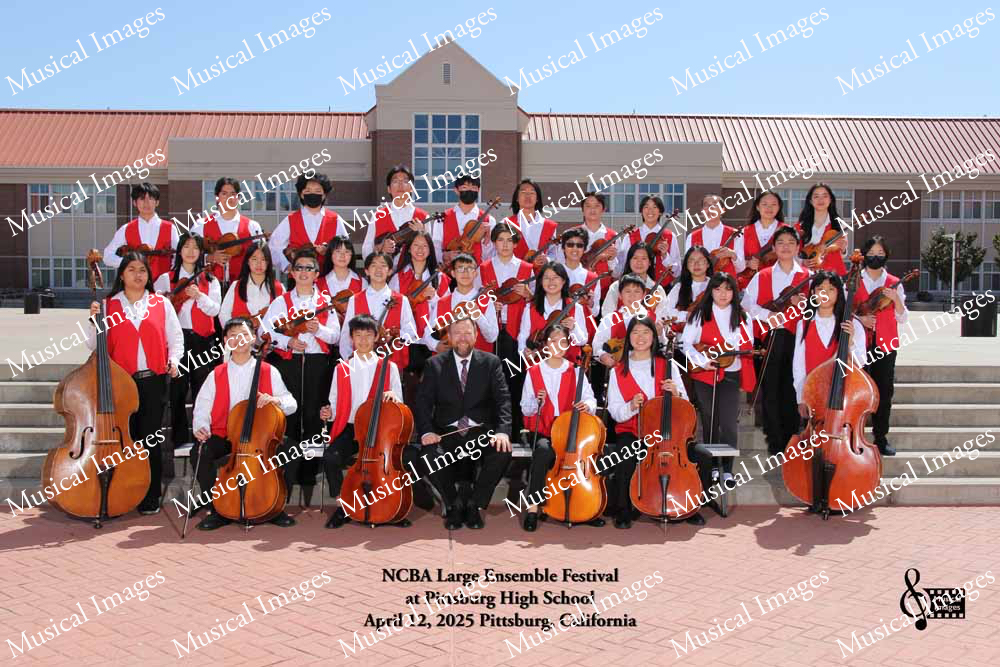 Musical Images
